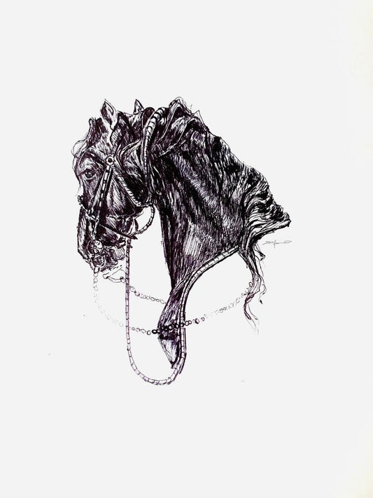 Equine-01