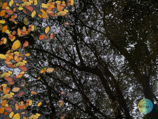 Beda Musim (Different Season) 60 x 40 cm / Print / Unframed, shipped in roll