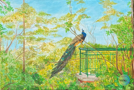 Bird Aviary 18 x 12 cm / Acrylic / Unframed, shipped in roll