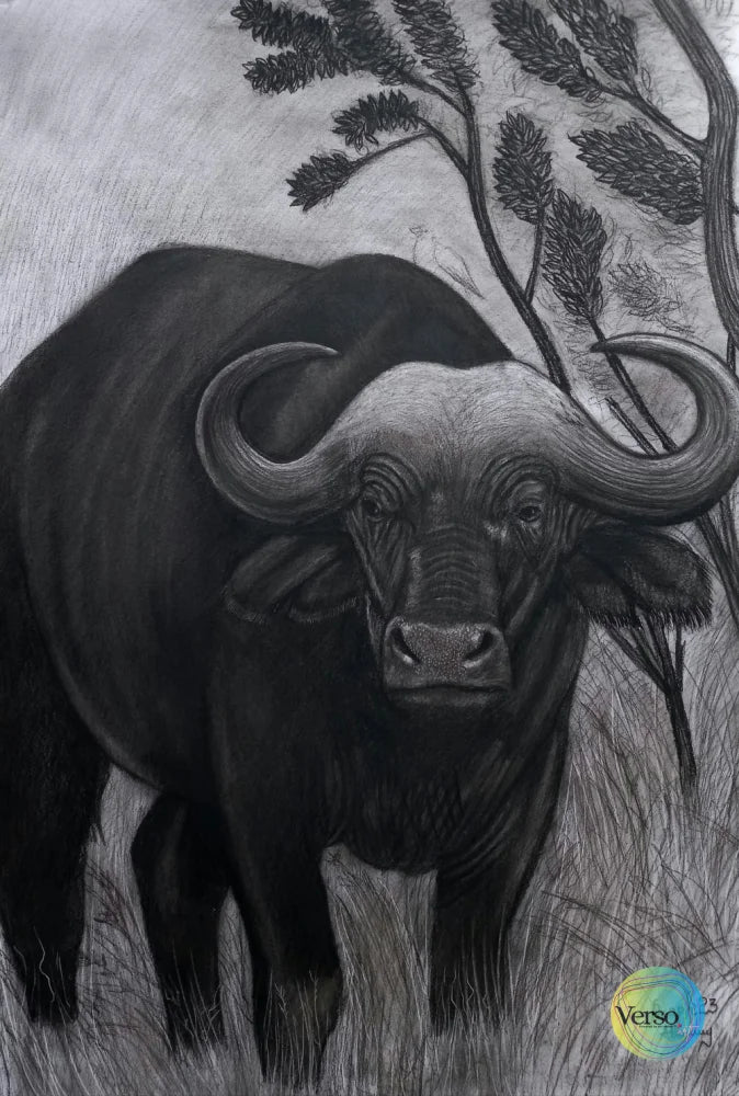 Buffalo 42 x 60 cm / Charcoal / Unframed, shipped in roll