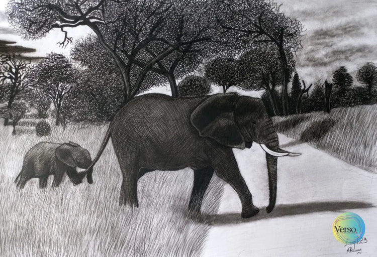 Elephant 60 x 42 cm / Charcoal / Unframed, shipped in roll