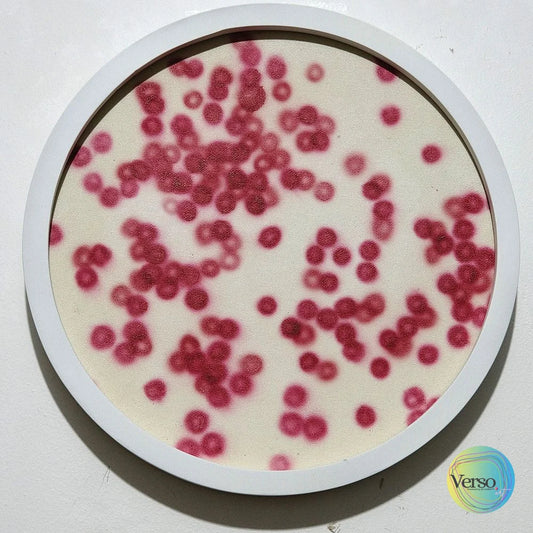 Erythrocytes Composition Microview no.122 - 30 x 30 cm / Acrylic / Framed, shipped flat