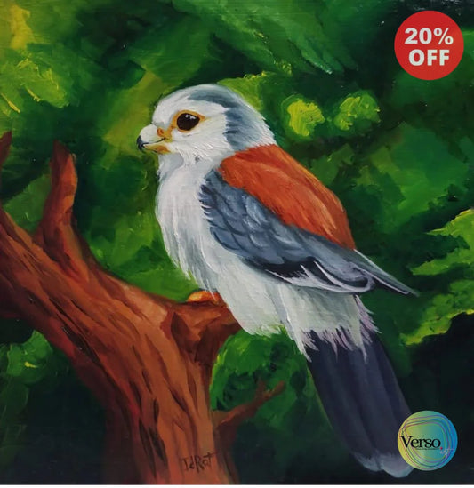 Pequeño halcón 20 x 20 cm / Oil / Unframed, shipped in roll