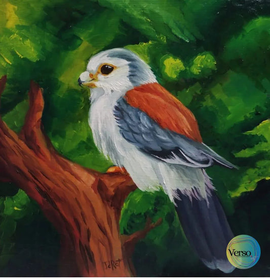 Pequeño halcón 20 x 20 cm / Oil / Unframed, shipped in roll