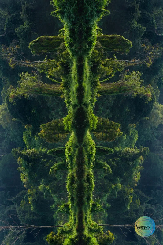 Siapa Aku (Who Am I) 60 x 40 cm / Print / Unframed, shipped in roll