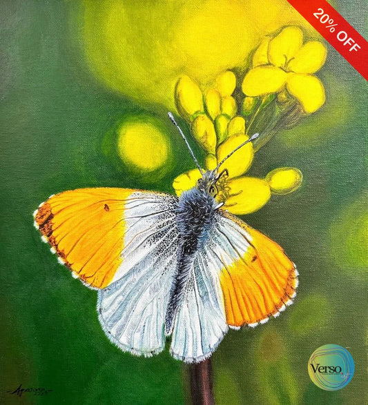 The Orange-tip Butterfly 12 x 13.5 cm / Acrylic / Unframed, shipped in a roll