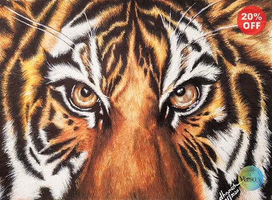 Tiger eyes 22.7 x 16.6 cm / Colored pencils / Unframed, shipped in roll