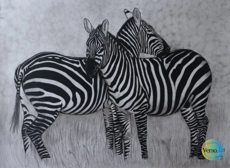 Zebras 60 x 42 cm / Charcoal / Unframed, shipped in roll