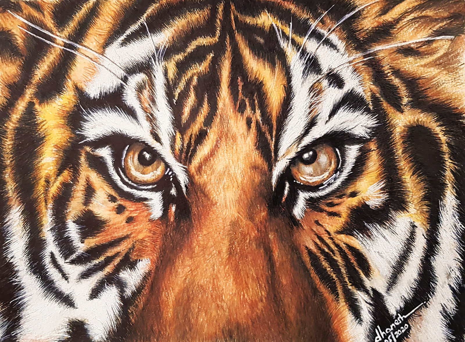 Wildlife-1