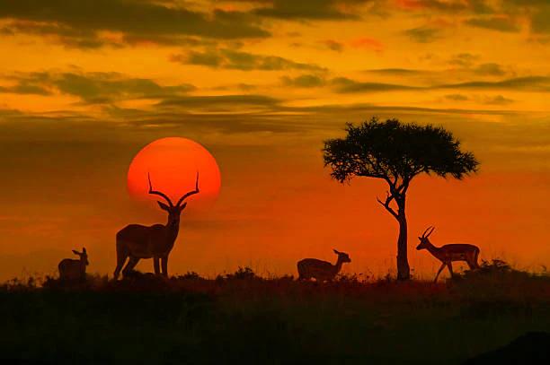 South Africa