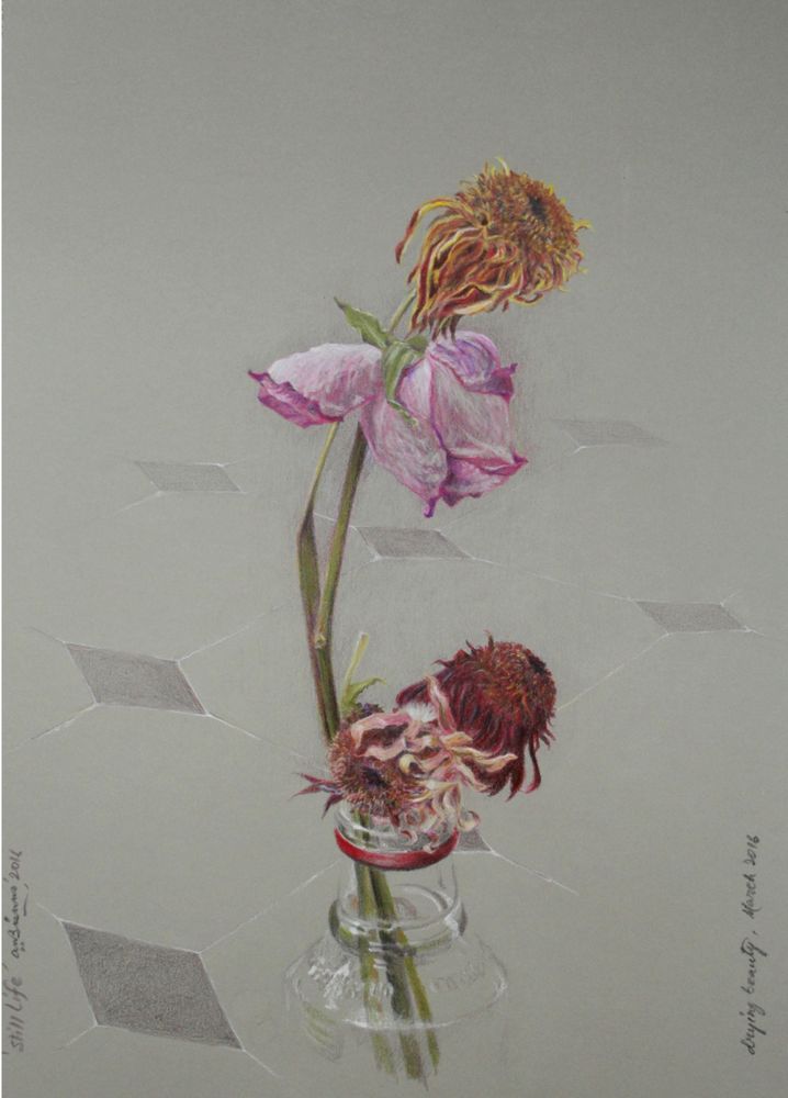 Still-Life