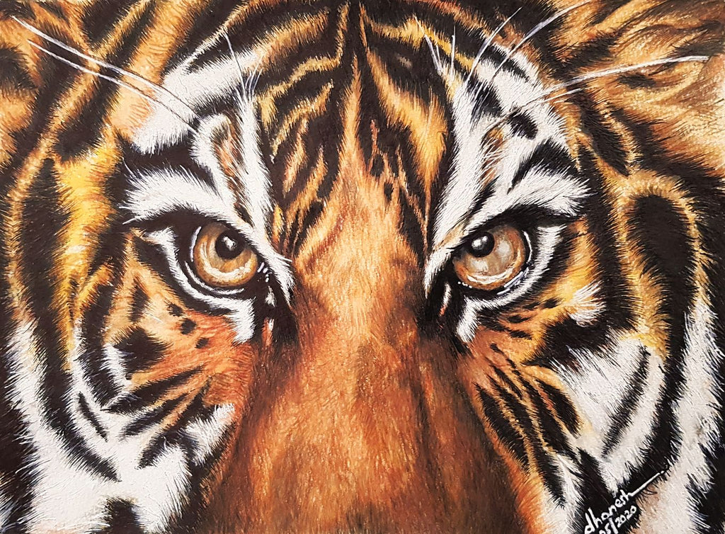 Tiger eyes
