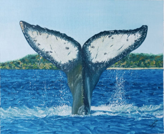 The Whale is life