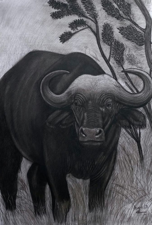 Buffalo