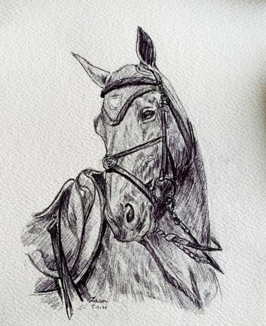 Equine-05