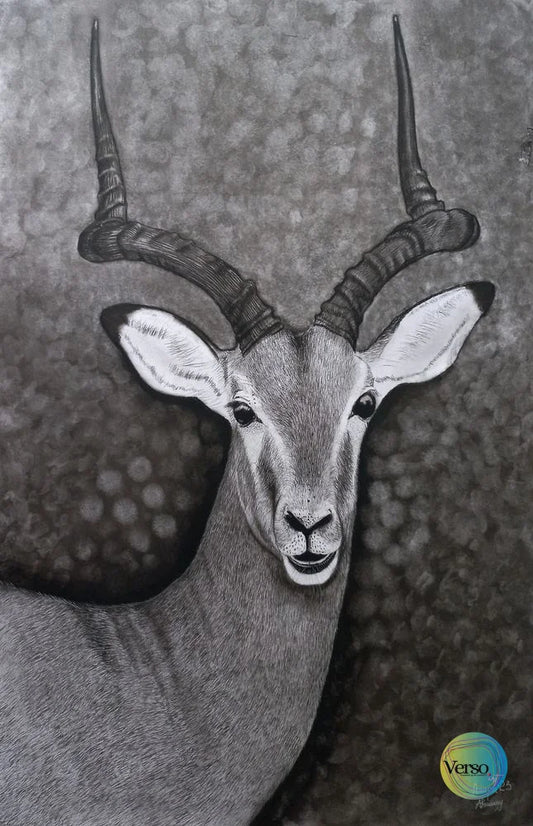 Antelope 42 x 60 cm / Charcoal / Unframed, shipped in roll