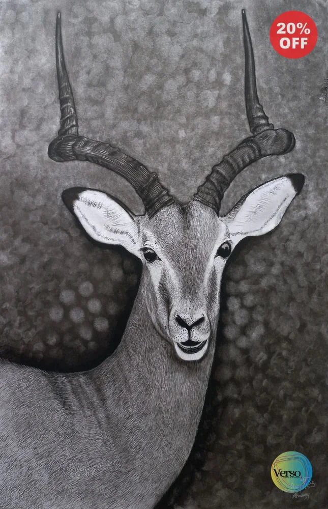 Antelope 42 x 60 cm / Charcoal / Unframed, shipped in a roll