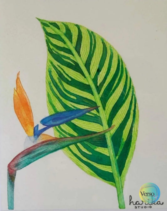 Ave del Paraiso 20 x 25 cm / Watercolor / Unframed, shipped in roll