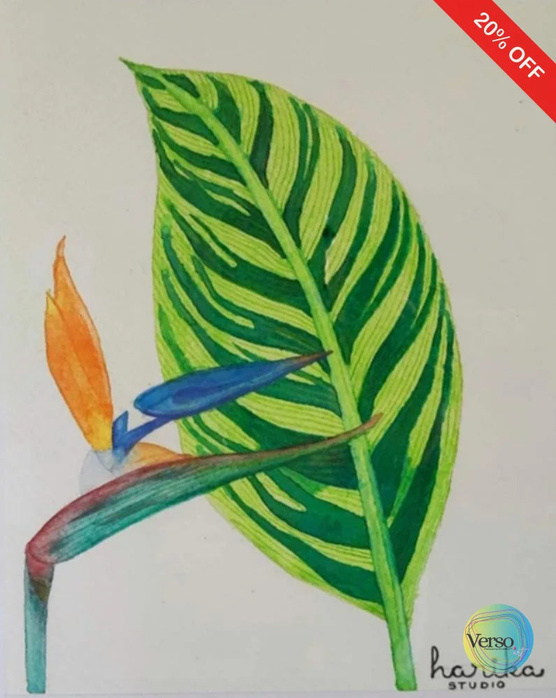 Ave del Paraiso 20 x 25 cm / Watercolor / Unframed, shipped in roll