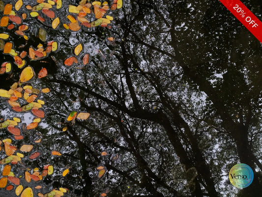 Beda Musim (Different Season) 60 x 40 cm / Print / Unframed, shipped in roll