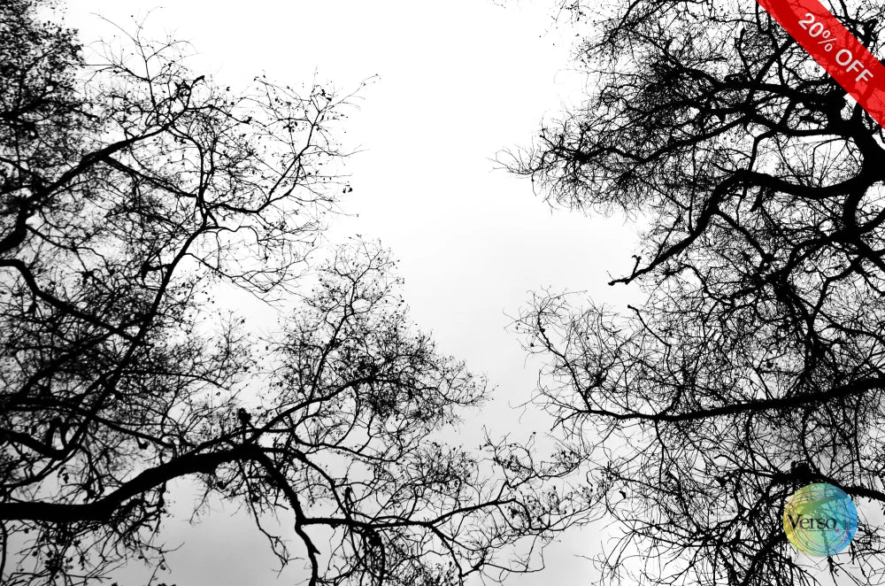 Black Forest 60 x 40 cm / Print / Unframed, shipped in roll