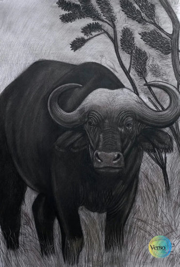 Buffalo 42 x 60 cm / Charcoal / Unframed, shipped in a roll