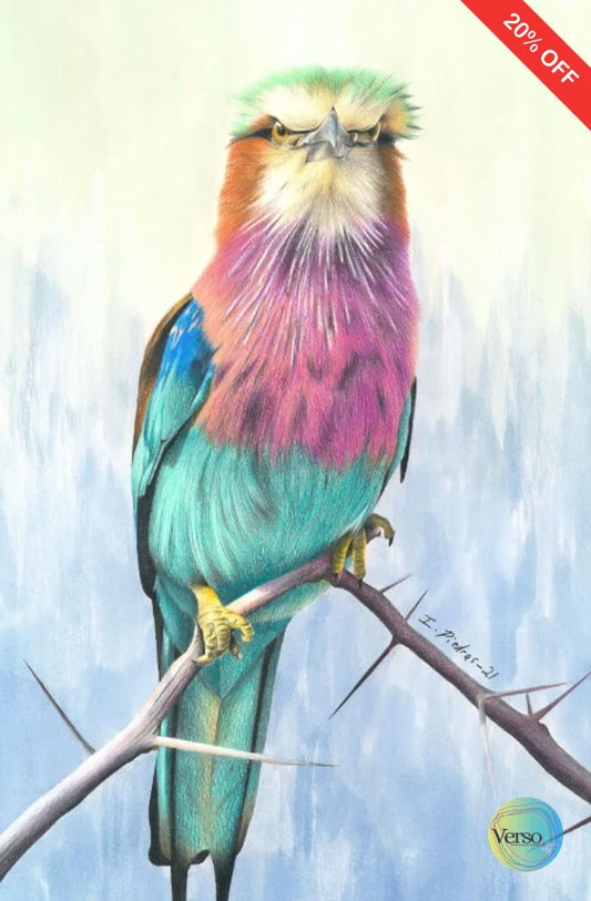 Con la mirada seria 29.7 x 42 cm / Mixed / Unframed, shipped flat