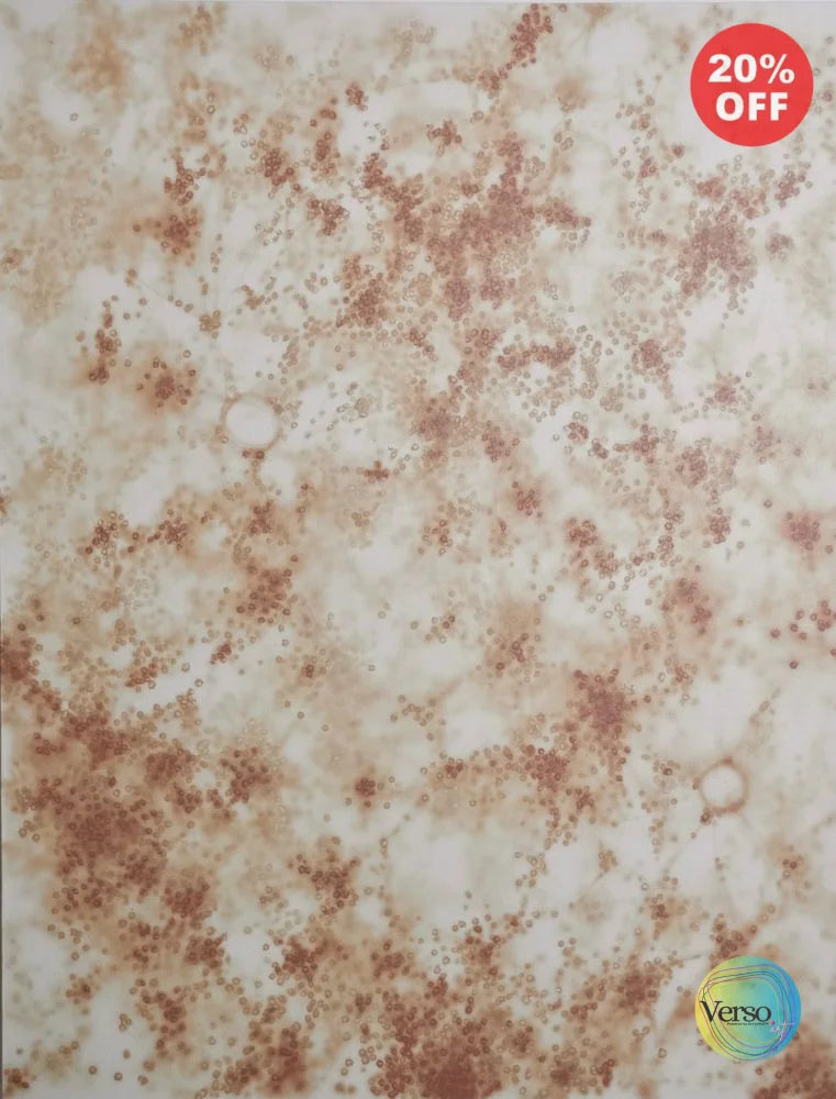 Crenation Blood - 100 x 130 cm / Acrylic / Unframed, shipped in a roll