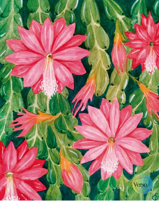 Disocactus Ackermannii 10 x 8 cm / Watercolor / Unframed, shipped in a roll