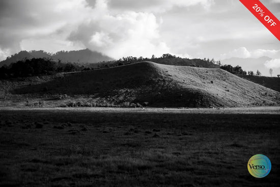 Elegan 60 x 40 cm / Print / Unframed, shipped in roll