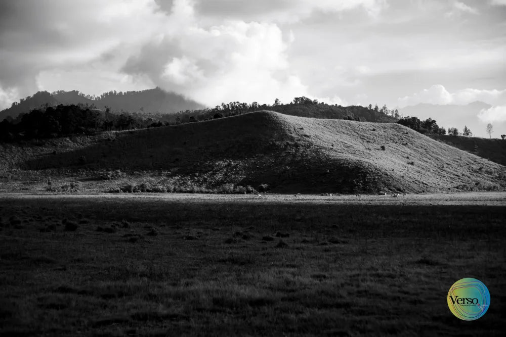 Elegan 60 x 40 cm / Print / Unframed, shipped in roll