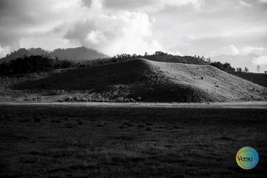 Elegan 60 x 40 cm / Print / Unframed, shipped in roll