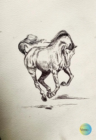 Equine -03 7 x 11 inch / Pen / Unframed, shipped in a roll