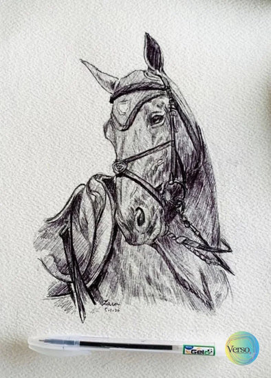 Equine-05 8 x 11 inch / Pen / Unframed, shipped in a roll