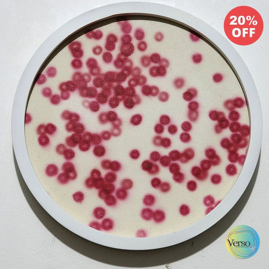 Erythrocytes Composition Microview no.122 - 30 x 30 cm / Acrylic / Framed, shipped flat