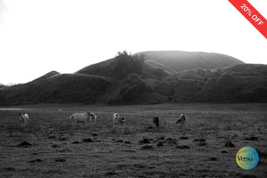 Kawanan Sapi (Herd of Cows) 60 x 40 cm / Print / Unframed, shipped in roll