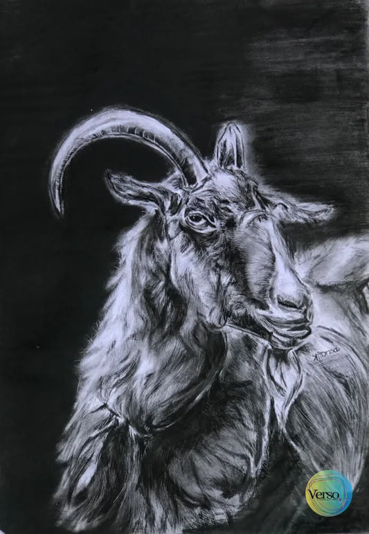 Kimeeme/He goat 29 x 42 cm / Charcoal / Unframed, shipped in roll