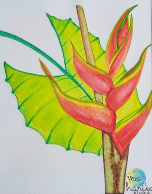 La Señora Heliconia 20 x 24.7 cm / Watercolor / Unframed, shipped in roll