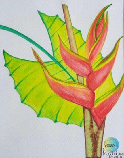La Señora Heliconia 20 x 24.7 cm / Watercolor / Unframed, shipped in roll