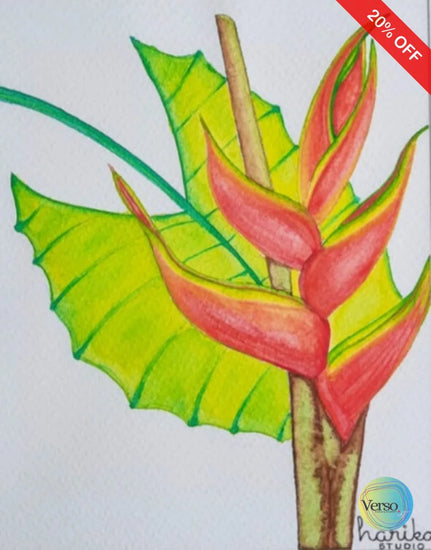 La Señora Heliconia 20 x 24.7 cm / Watercolor / Unframed, shipped in roll