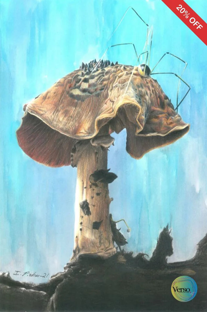 Los detalles de la vida 29.7 x 42 cm / Mixed / Unframed, shipped flat