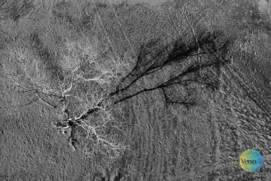 Myself 60 x 40 cm / Print / Unframed, shipped in roll