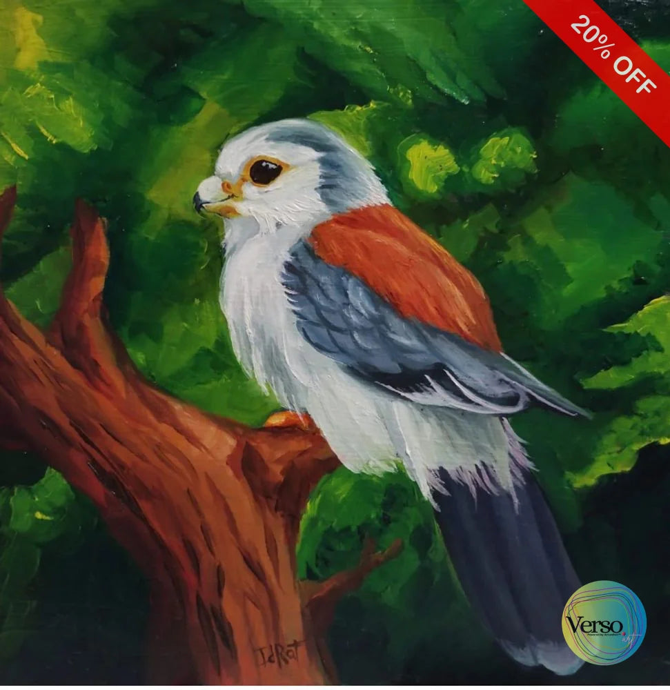 Pequeño halcón 20 x 20 cm / Oil / Unframed, shipped in roll