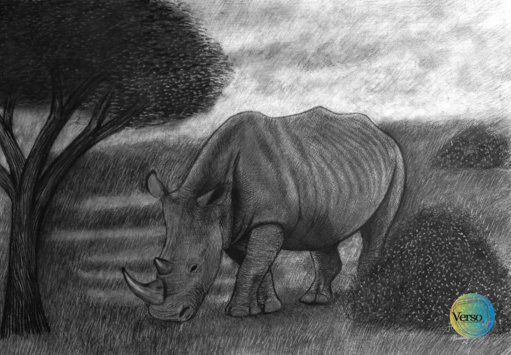 Rhino 60 x 42 cm / Charcoal / Unframed, shipped in a roll
