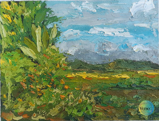 Ricefield 25 x 20 cm / Oil / Unframed, shipped flat