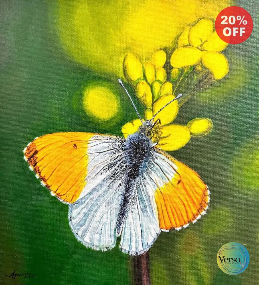The Orange-tip Butterfly 12 x 13.5 cm / Acrylic / Unframed, shipped in a roll