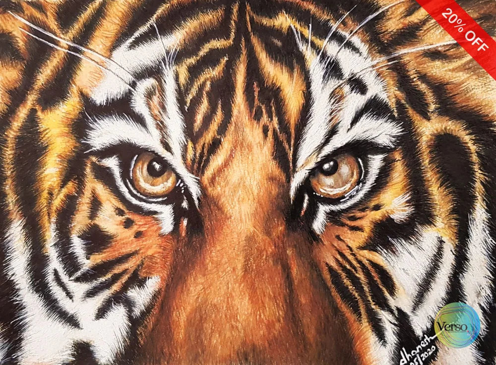 Tiger eyes 22.7 x 16.6 cm / Colored pencils / Unframed, shipped in roll