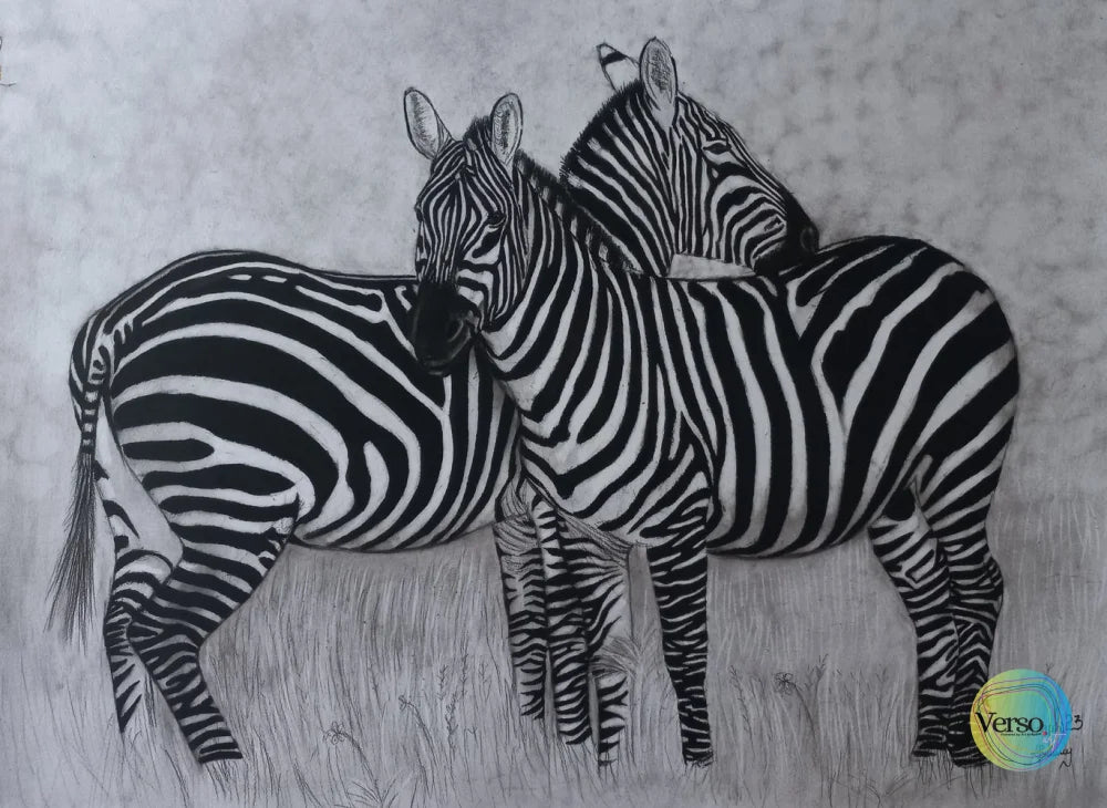 Zebras 60 x 42 cm / Charcoal / Unframed, shipped in a roll