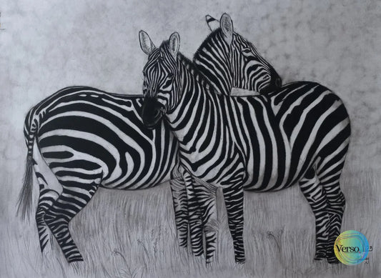 Zebras 60 x 42 cm / Charcoal / Unframed, shipped in a roll